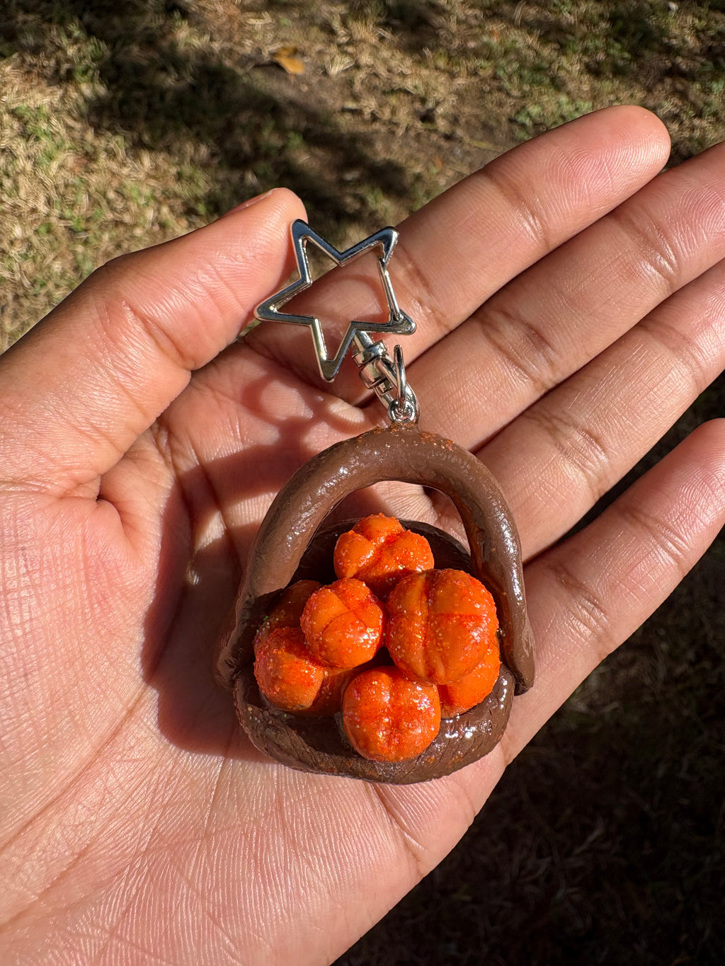 ⋆˖⁺ pumpkin Patch ⁺˖⋆